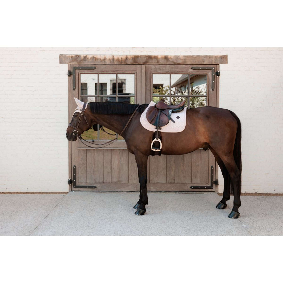 Kentucky Schabracke Velvet Springen Soft Rose