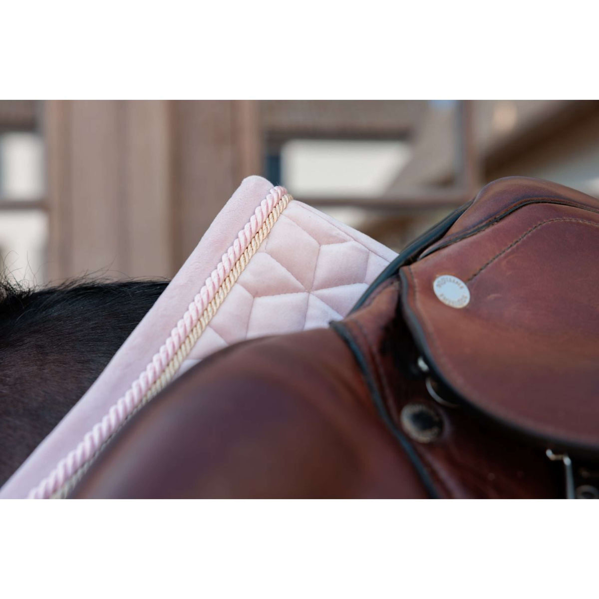 Kentucky Schabracke Velvet Springen Soft Rose