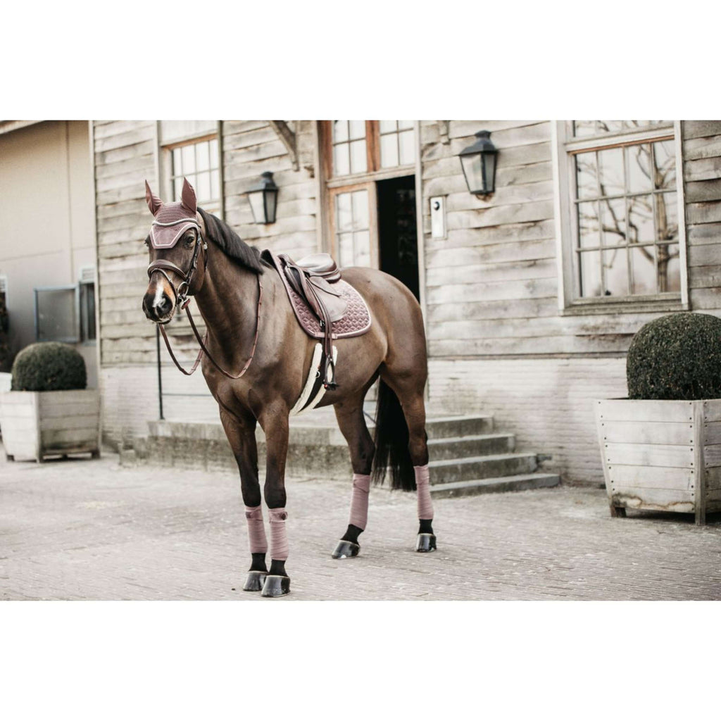 Kentucky Fliegenhaube Wellington Velvet Beige