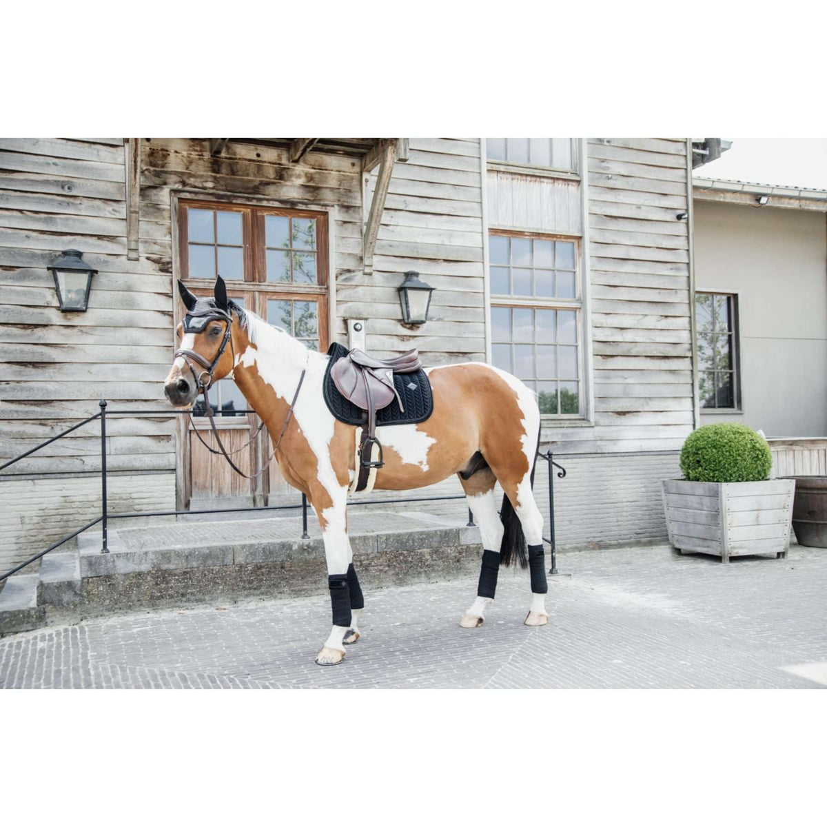 Kentucky Schabracke Velvet Pearls Springen Schwarz