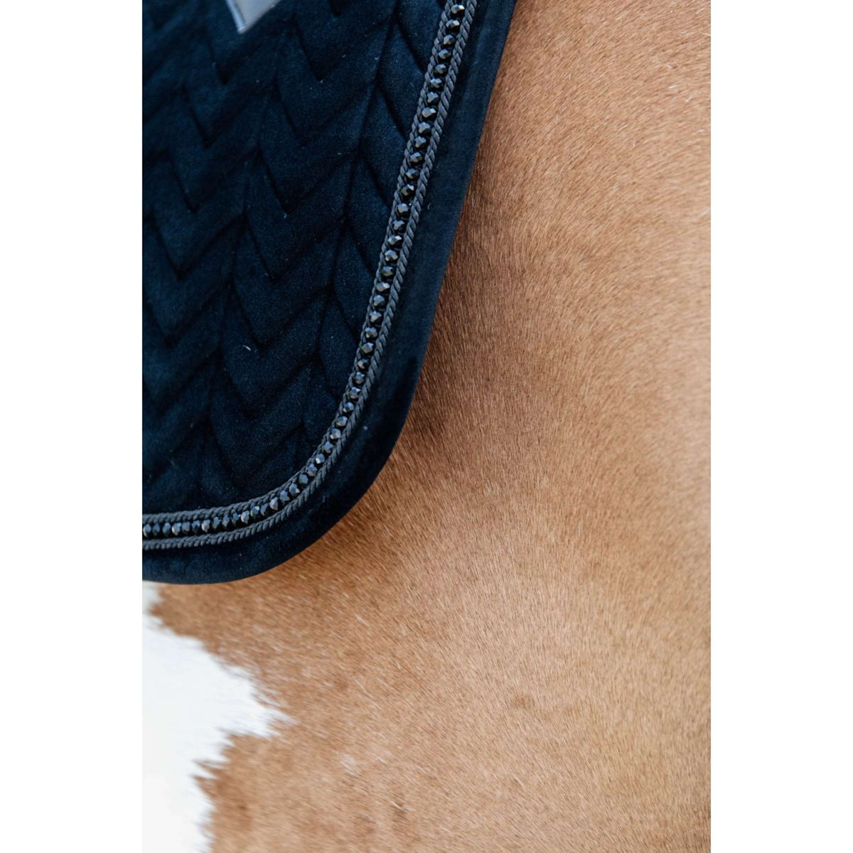 Kentucky Schabracke Velvet Pearls Dressur Schwarz