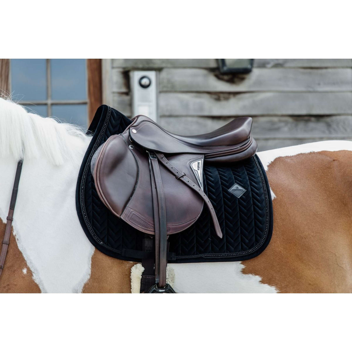 Kentucky Schabracke Velvet Pearls Springen Schwarz