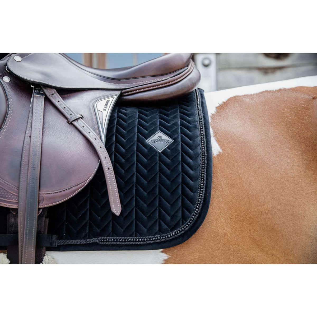 Kentucky Schabracke Velvet Pearls Springen Schwarz