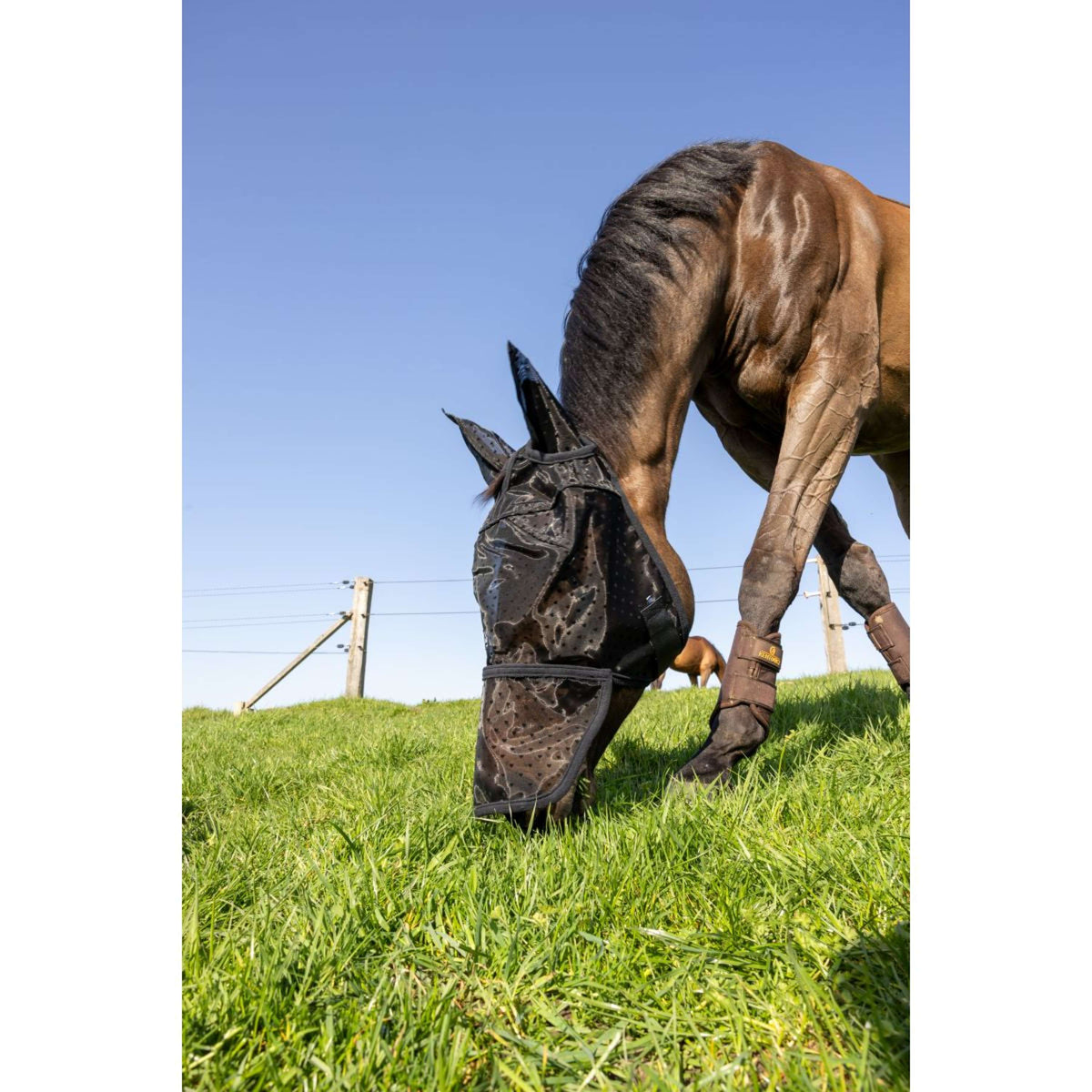Kentucky Fliegenmaske Heart mit Ohren und Nase Schwarz