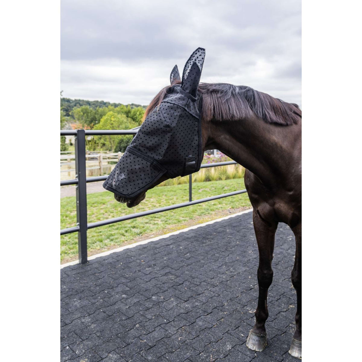 Kentucky Fliegenmaske Heart mit Ohren und Nase Schwarz