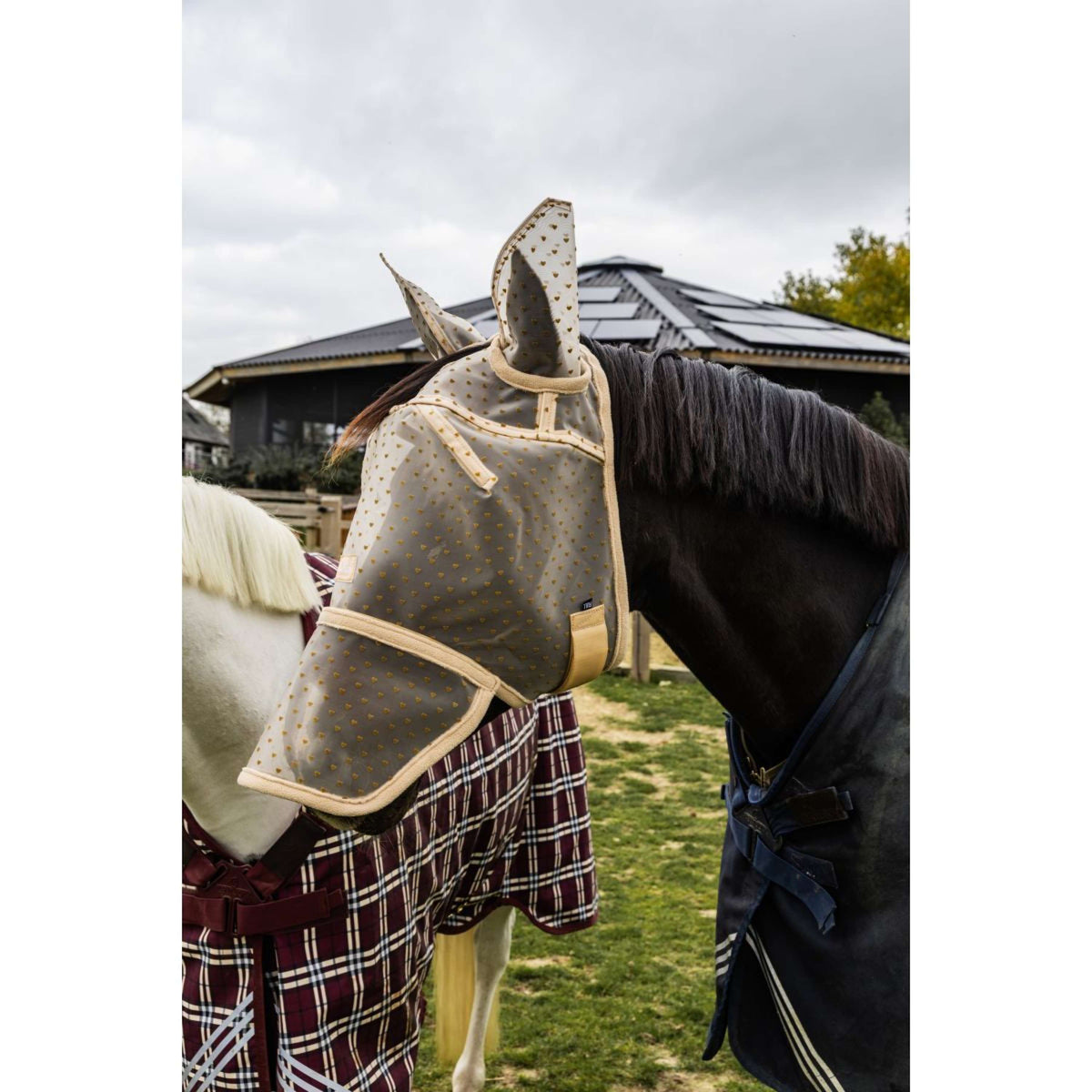 Kentucky Fliegenmaske Heart mit Ohren und Nase Beige