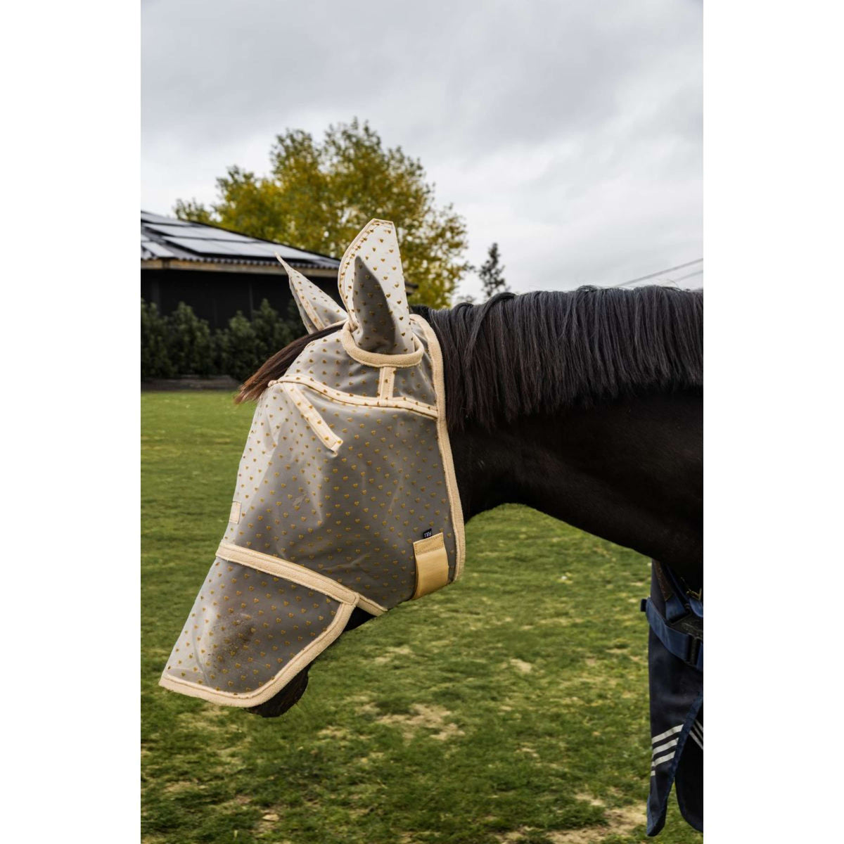 Kentucky Fliegenmaske Heart mit Ohren und Nase Beige