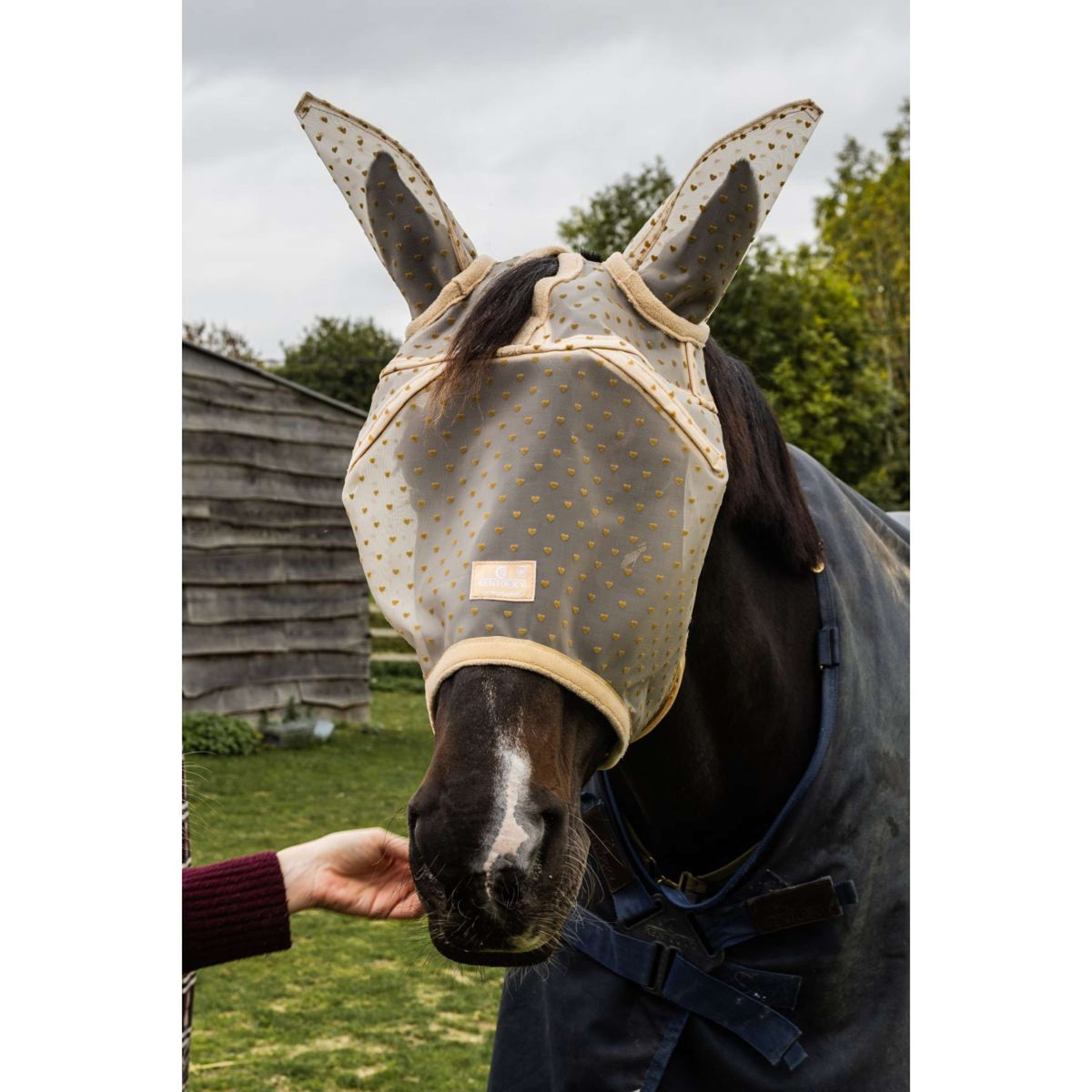 Kentucky Fliegenmaske Heart mit Ohren und Nase Beige