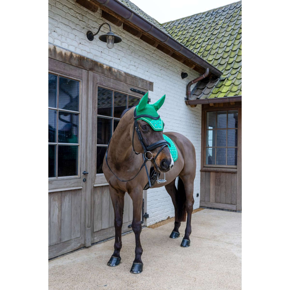 Kentucky Fliegenhaube Wellington Velvet Horse Printing Grün