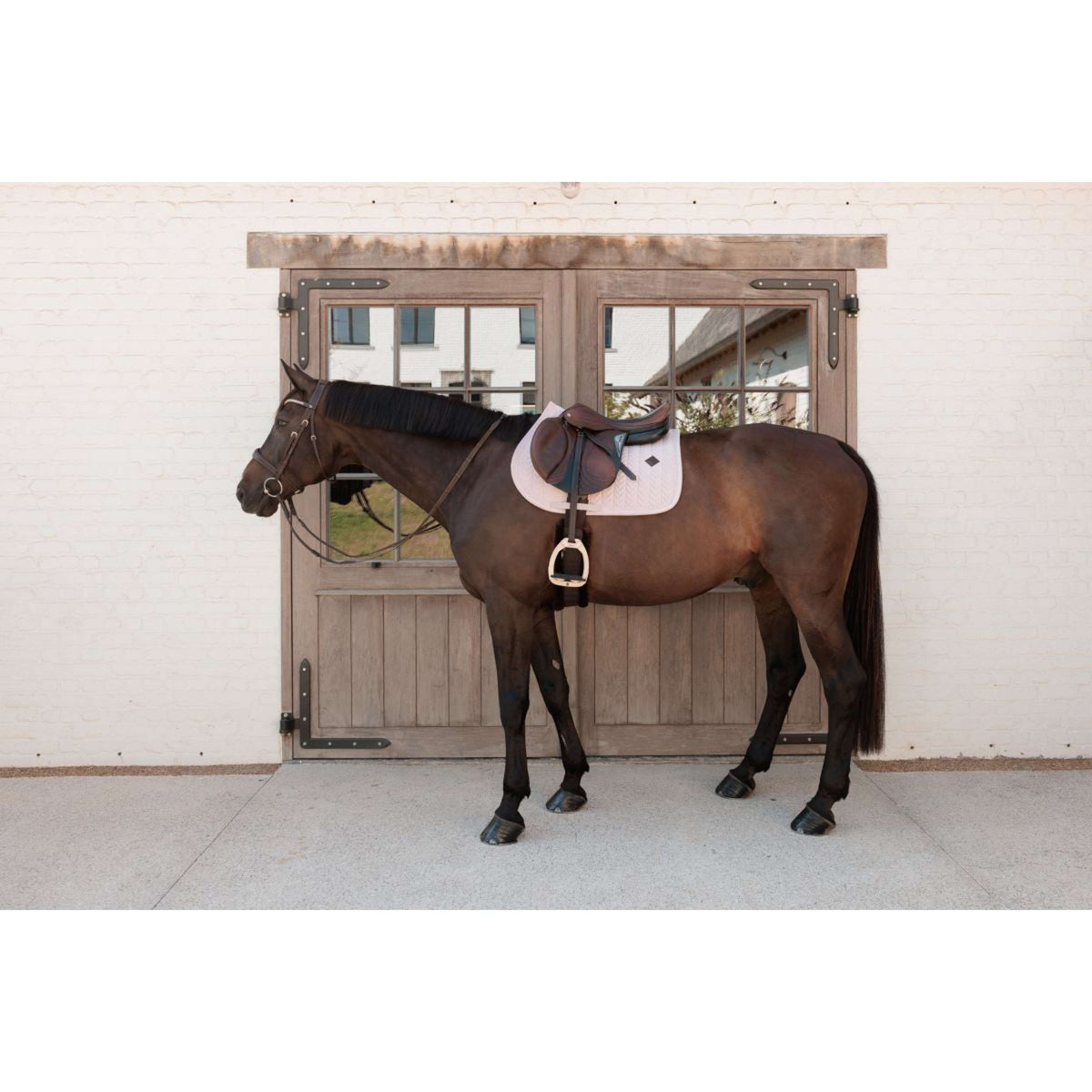 Kentucky Schabracke Velvet Mini Pearls Springen Old Rose