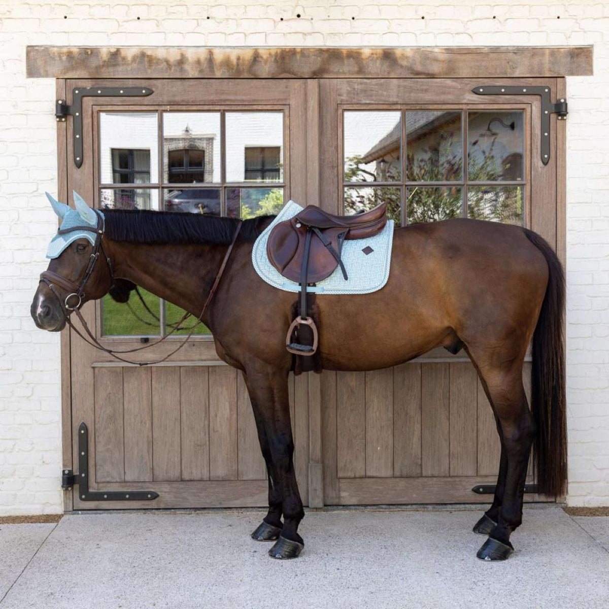 Kentucky Schabracke Velvet Flags Springen Hellblau