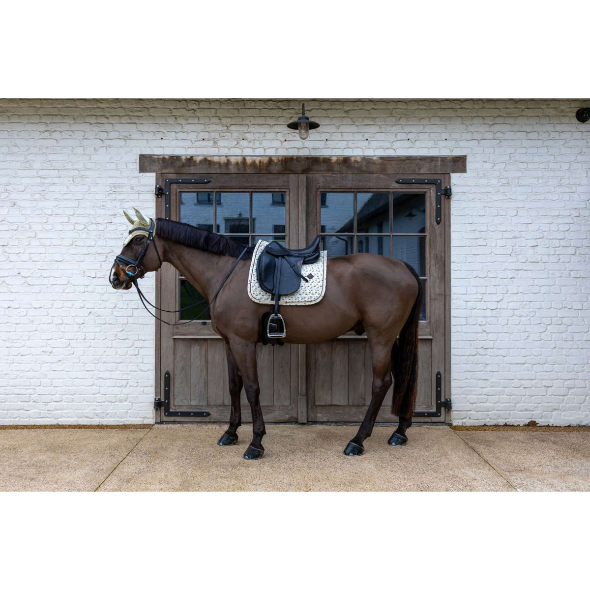 Kentucky Schabracke Velvet Horse Printing Dressur Beige