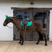 Kentucky Schabracke Velvet Horse Printing Springen Grün
