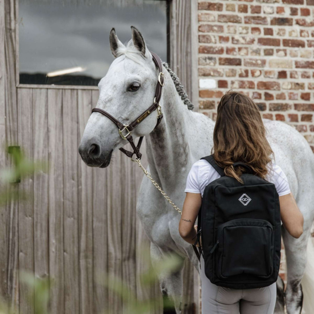 Grooming Deluxe by Kentucky Rucksack Chestnut Schwarz