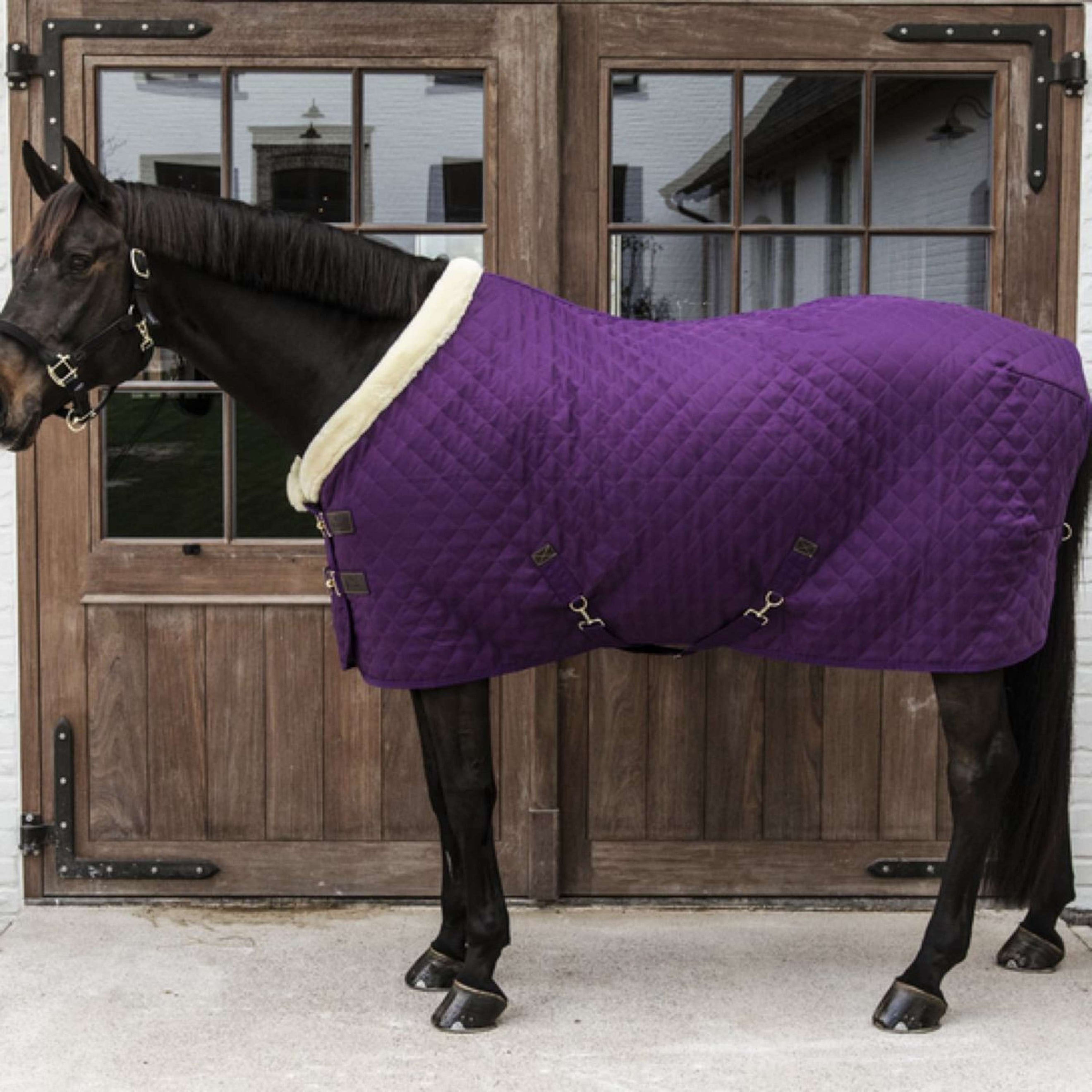Kentucky Showdecke 160g Violett Kentucky Showdecke 160g Violett