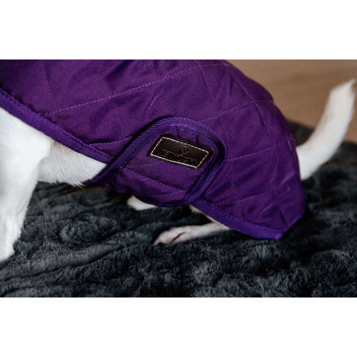 Kentucky Hundejacke Original Royal Violett