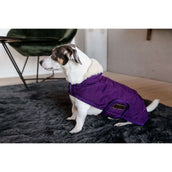 Kentucky Hundejacke Original Royal Violett