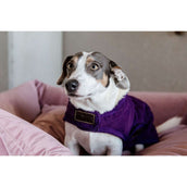 Kentucky Hundejacke Original Royal Violett