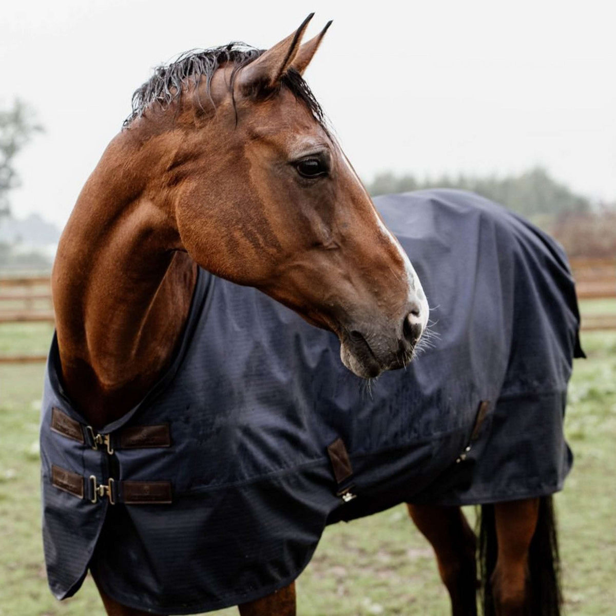 Kentucky Turnout Rug All Weather 0g Navy