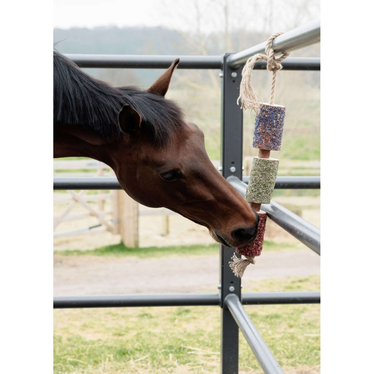 Grooming Deluxe by Kentucky Relax Horse Toy Wooden Freedom