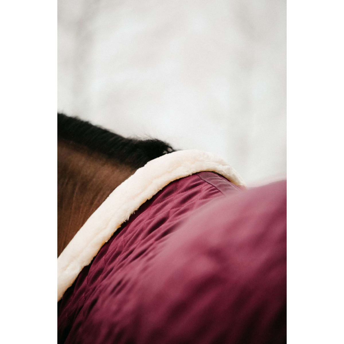 Kentucky Showdecke 160g Bordeaux