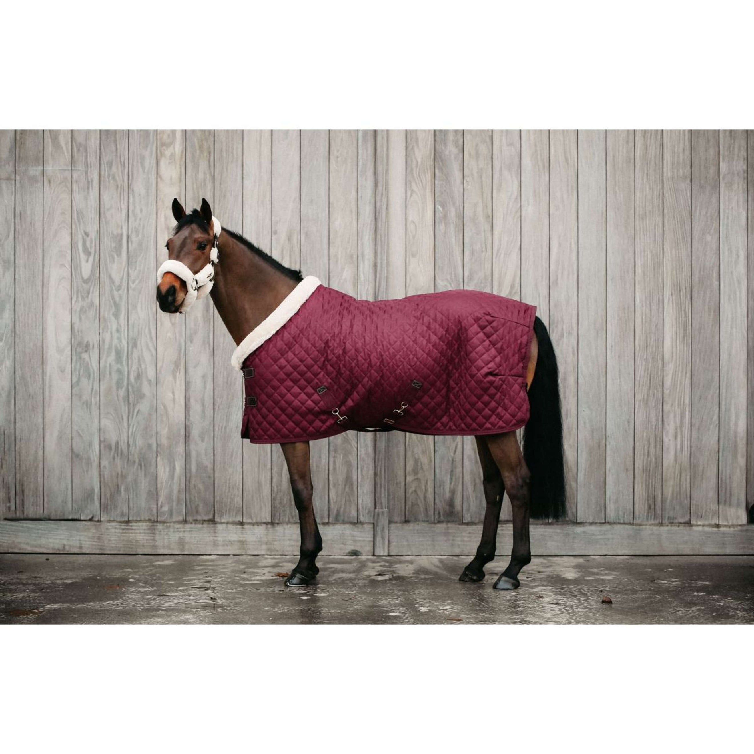 Kentucky Showdecke 160g Bordeaux