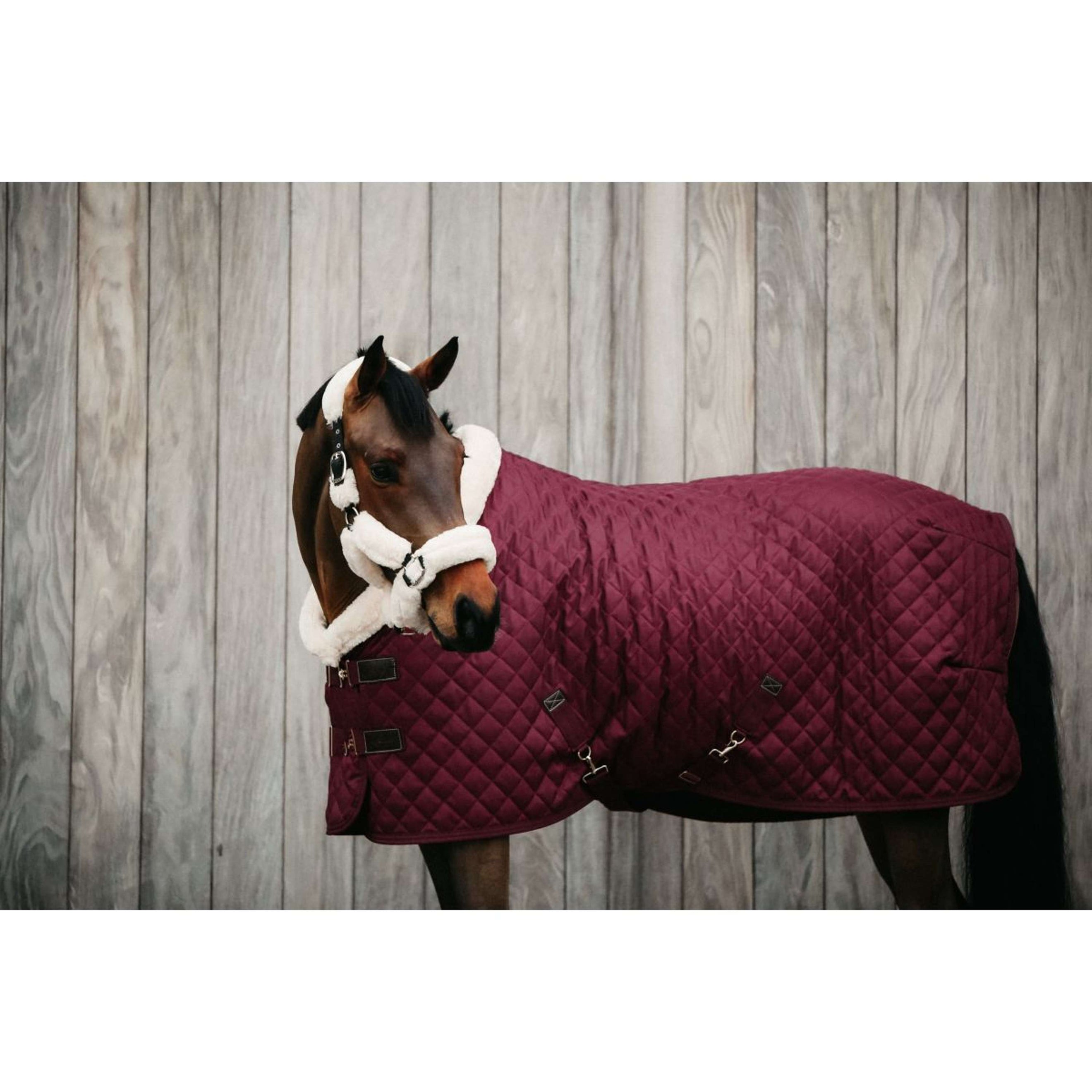 Kentucky Showdecke 160g Bordeaux Kentucky Showdecke 160g Bordeaux