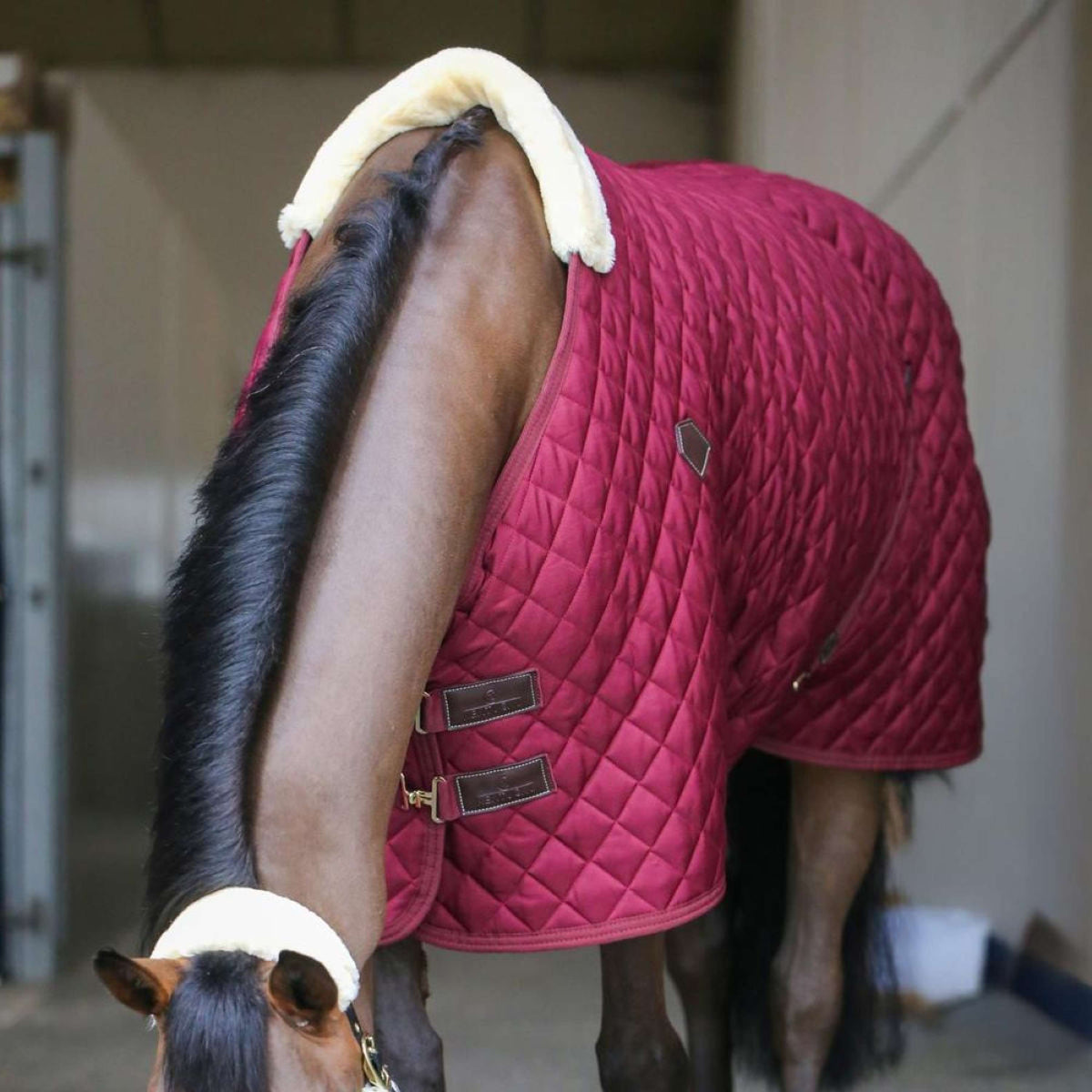 Kentucky Stalldecke 400g Bordeaux