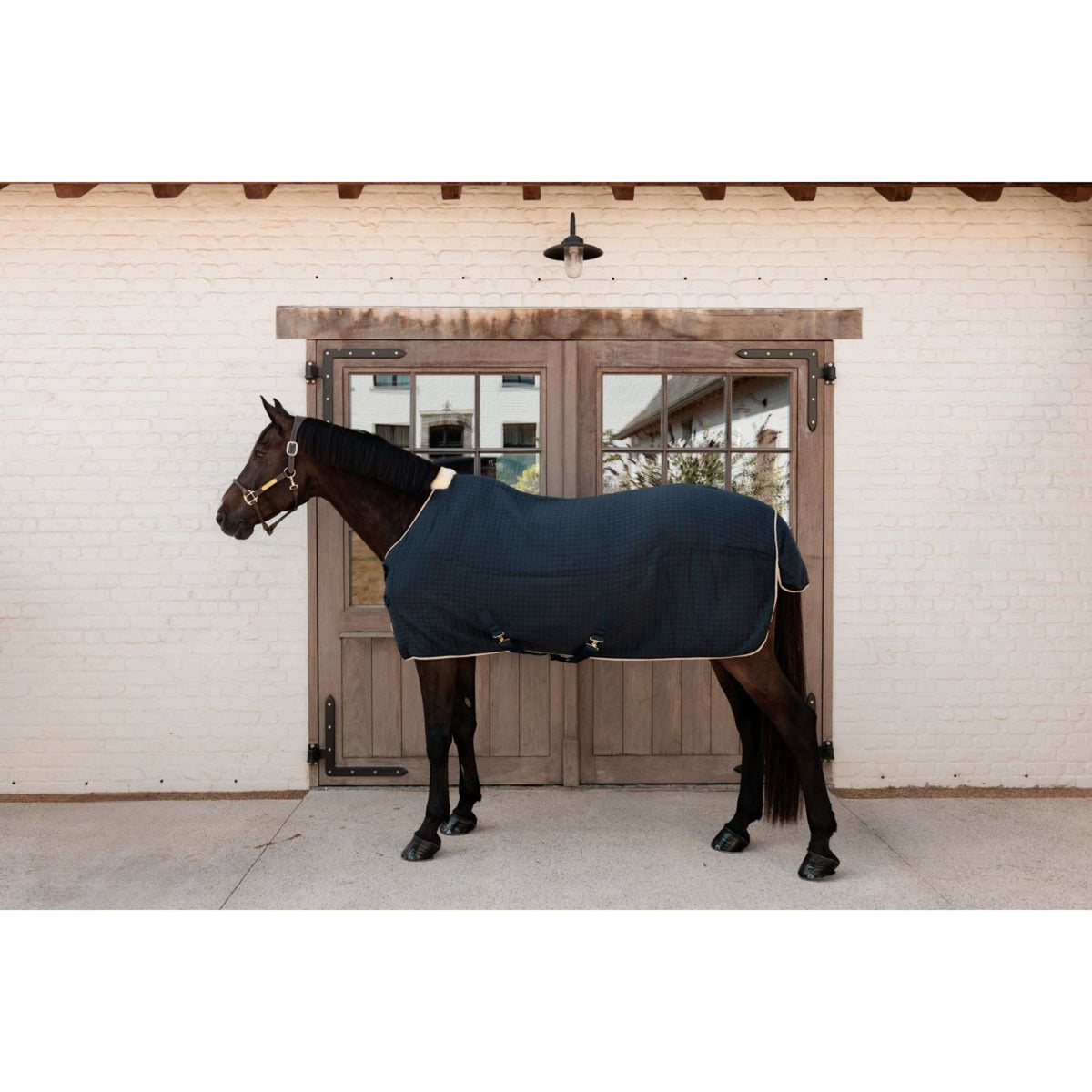 Kentucky Cooler PROTherm Navy