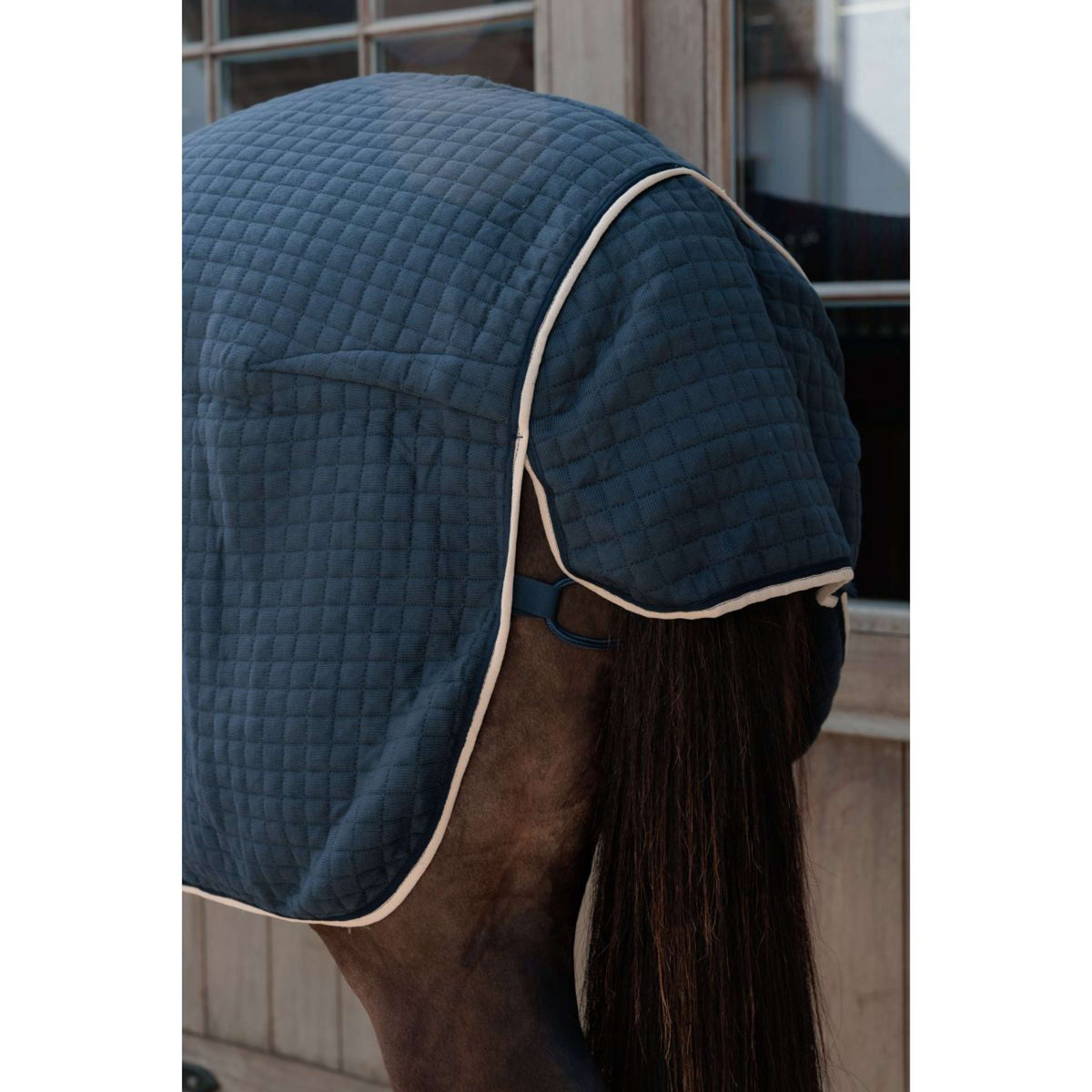 Kentucky Cooler PROTherm Navy