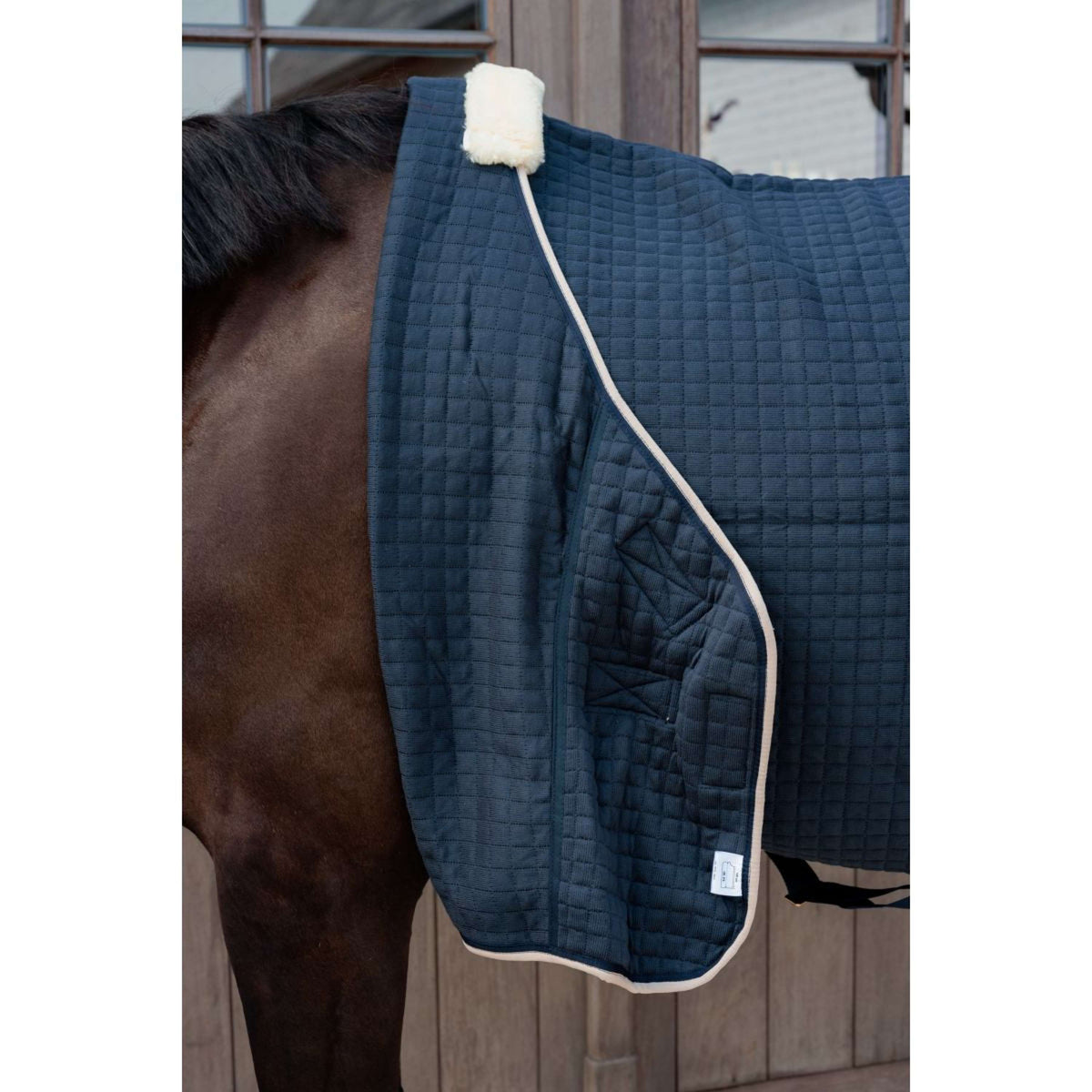 Kentucky Cooler PROTherm Navy