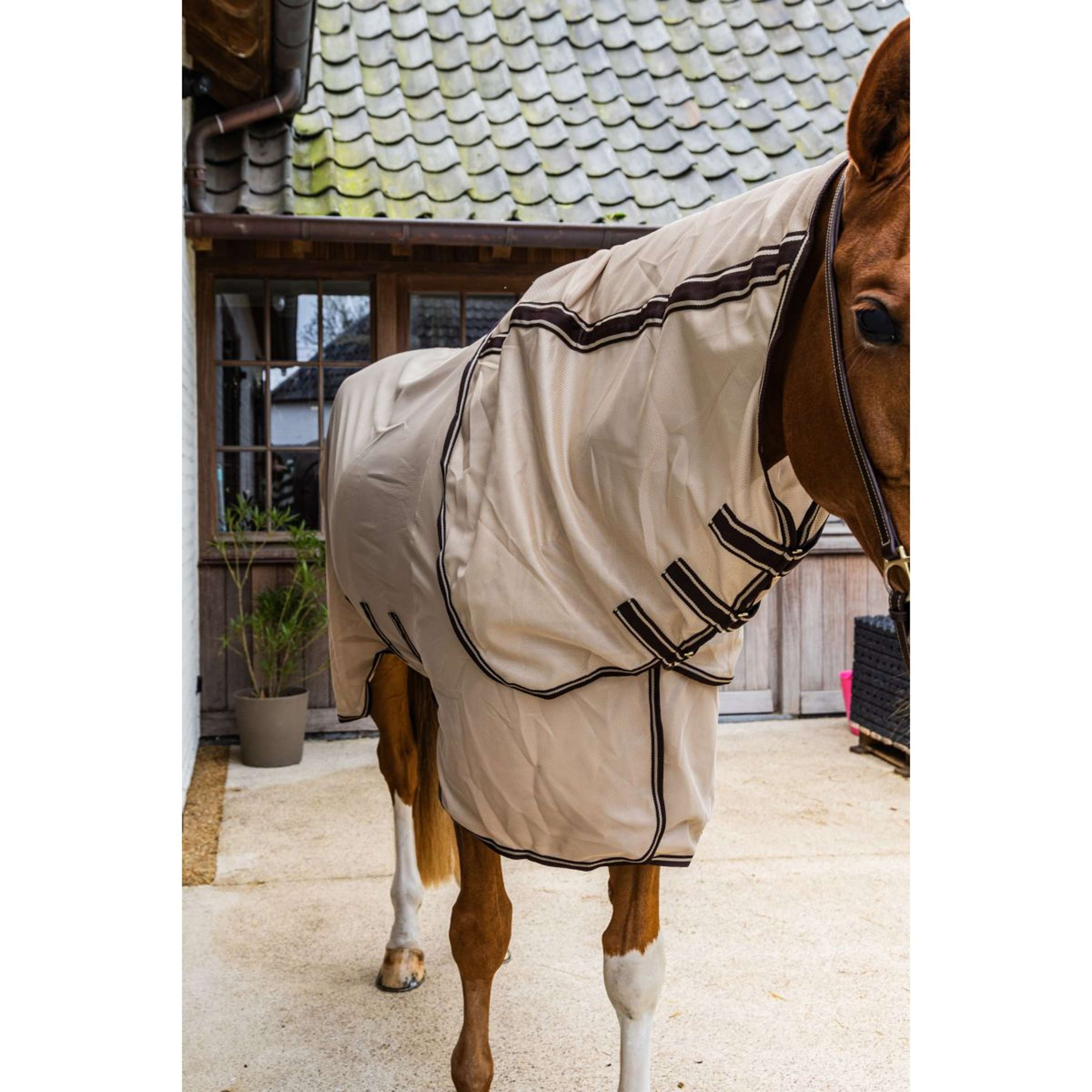 Kentucky Fliegendecke Comfort Mesh Beige/Braun