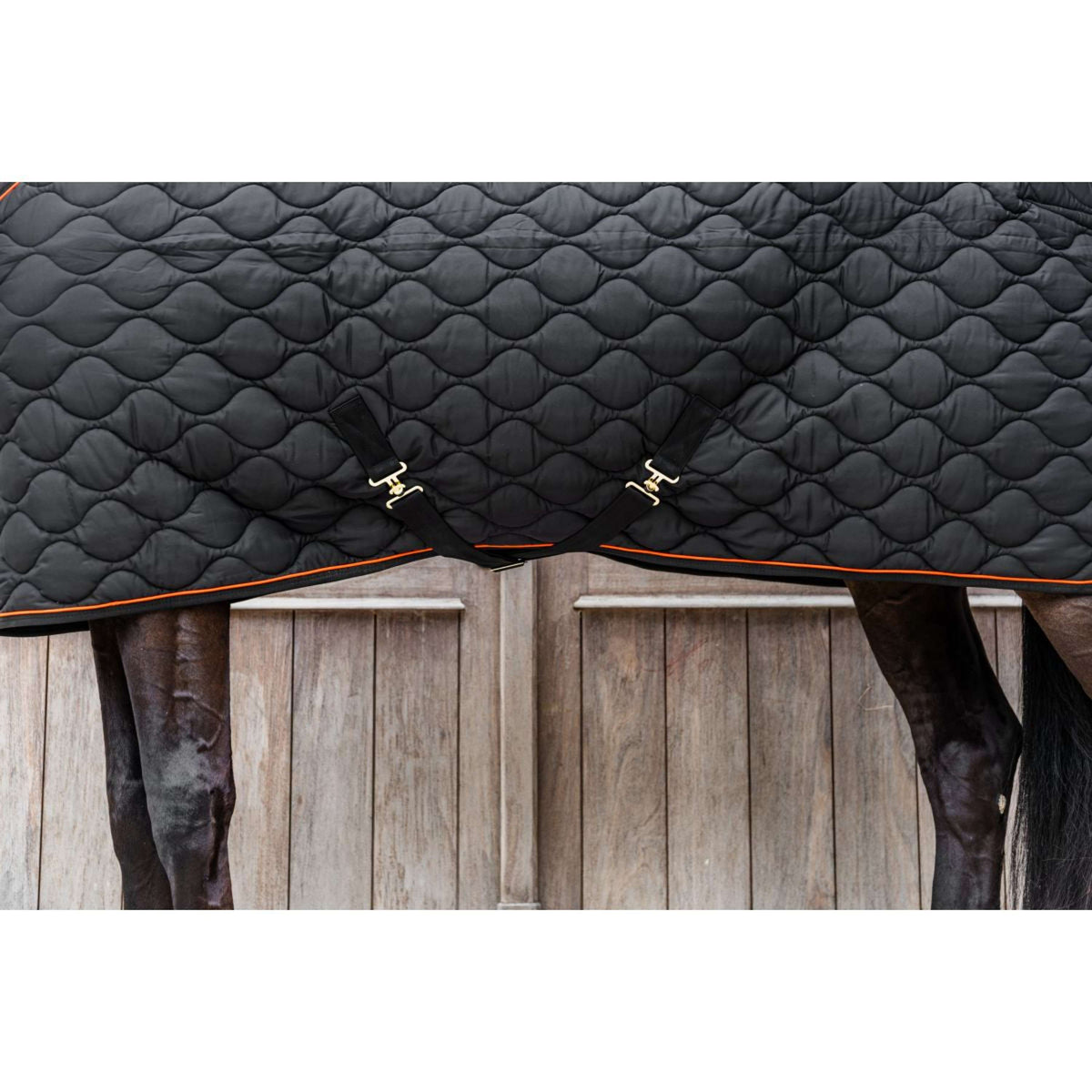 Kentucky Stalldecke Wave Schwarz