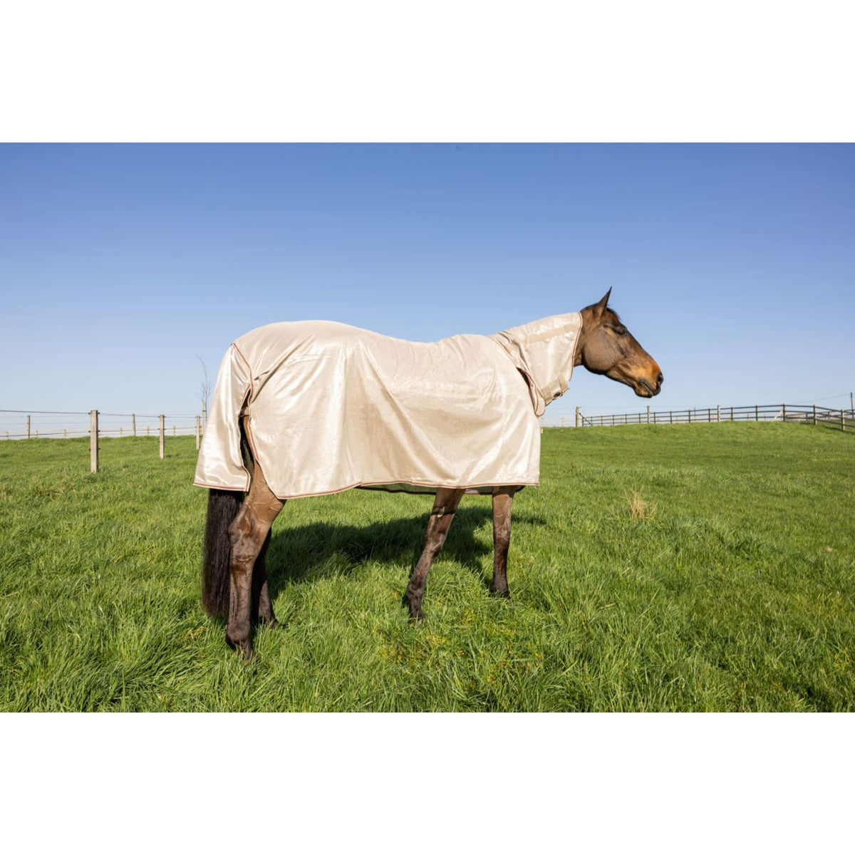 Kentucky Fliegendecke Comfort Mesh Classic with Neck & Belly Cover Beige/Bordeaux
