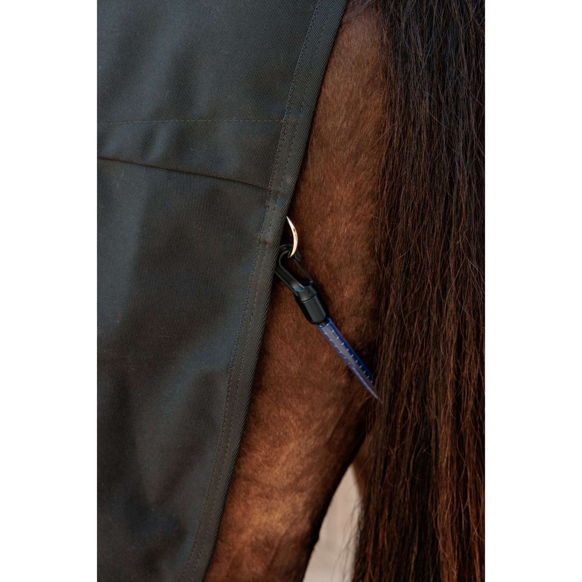 Kentucky Canvas Sheet Schwarz