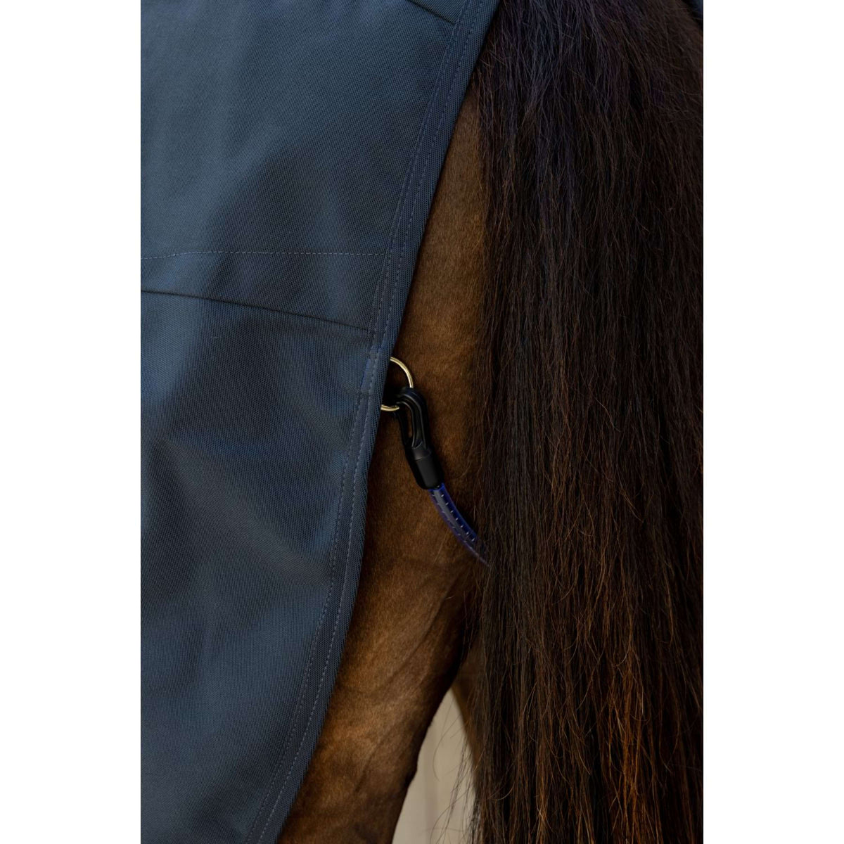 Kentucky Canvas Sheet Navy