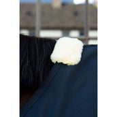 Kentucky Canvas Sheet Navy