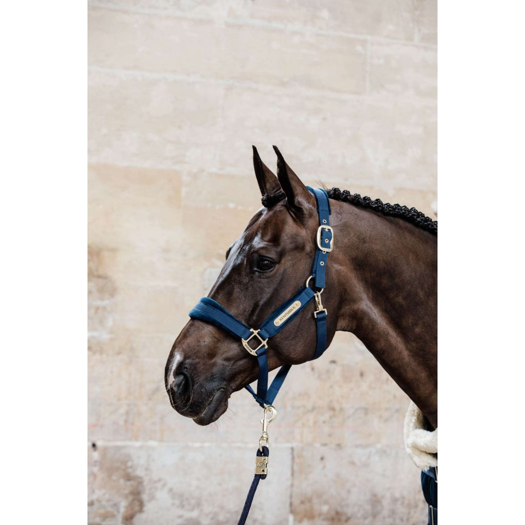 Kentucky Halfter Velvet Navy