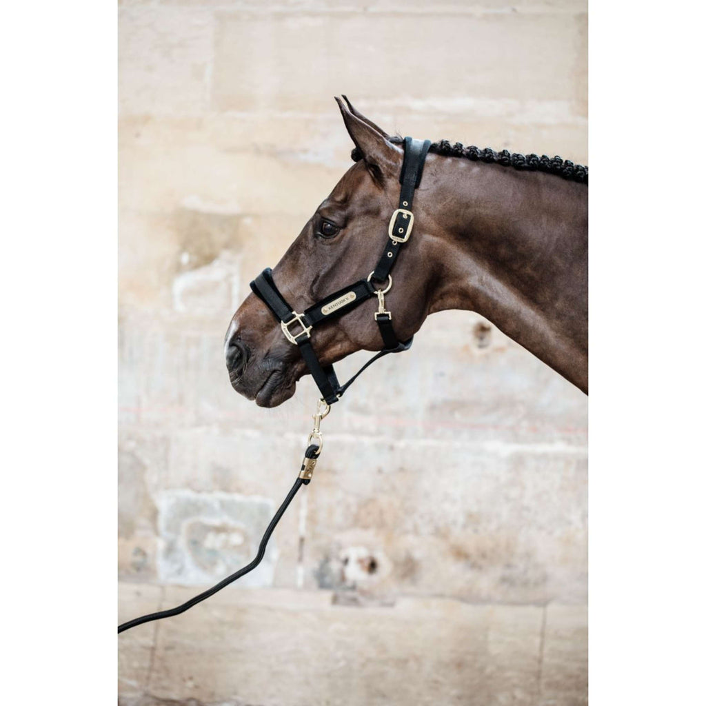 Kentucky Halfter Velvet Schwarz