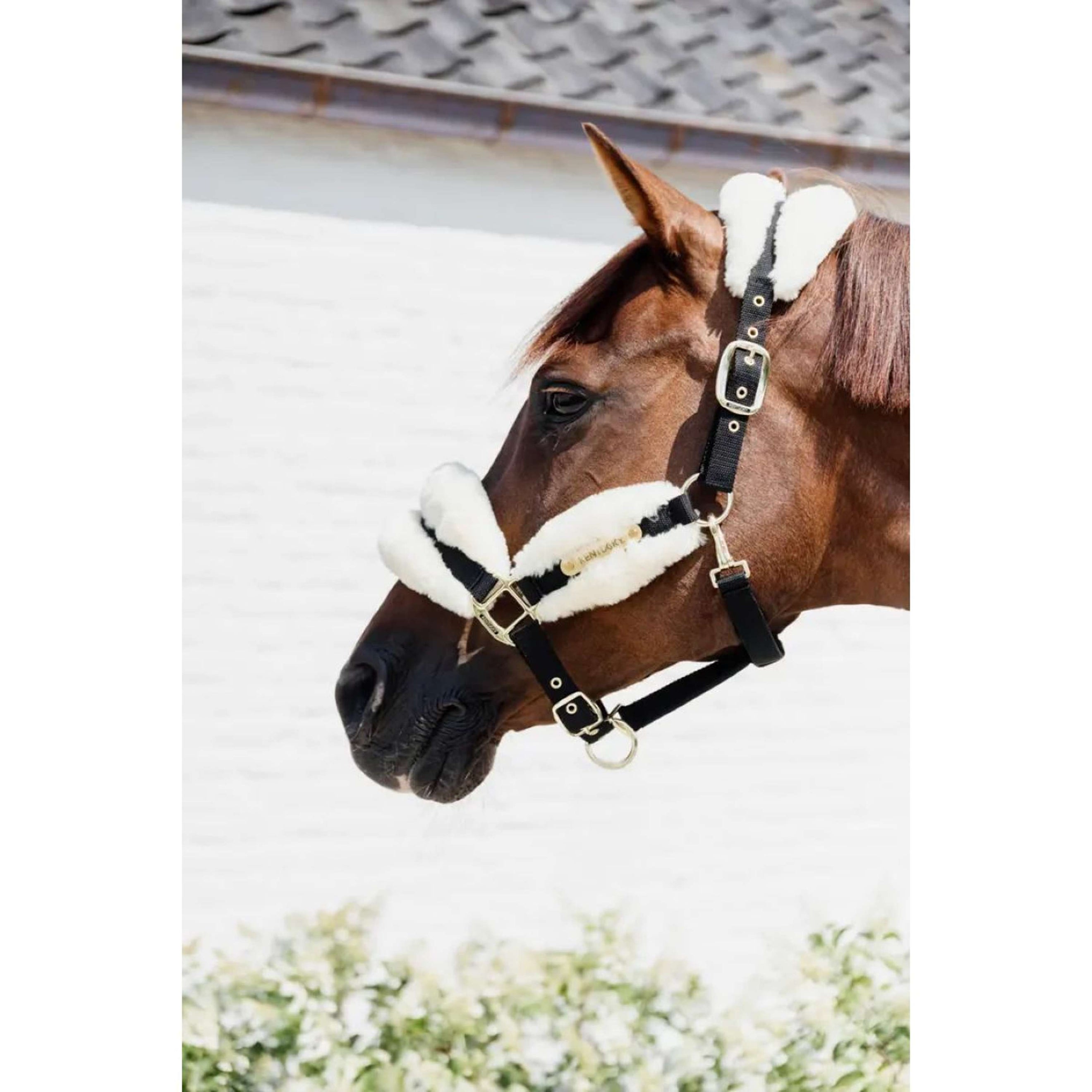 Kentucky Halfter Nylonwolle Weich Naturell Kentucky Halfter Nylonwolle Weich Naturell