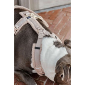 Kentucky Geschirr Teddy Fleece Beige