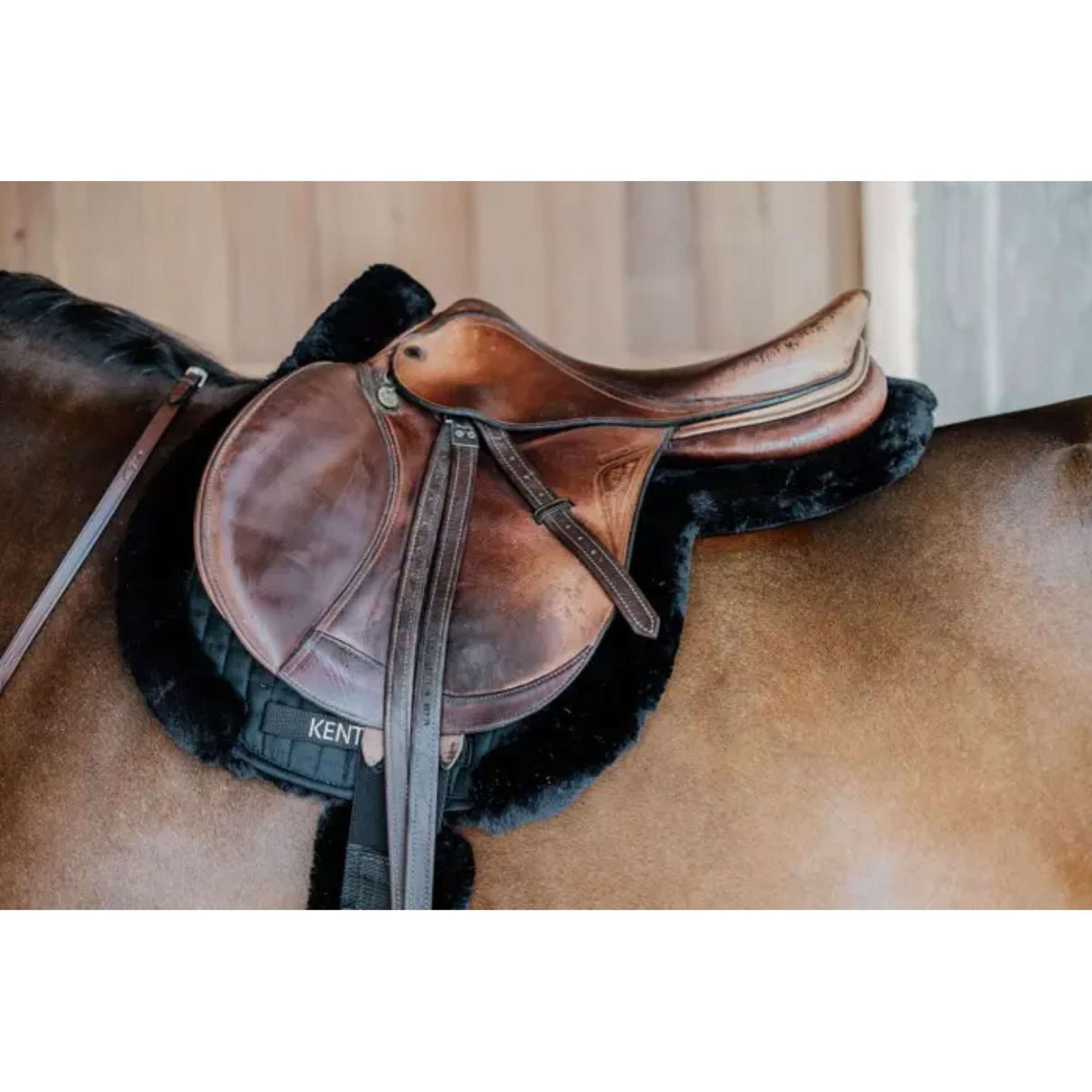 Kentucky Schabracke Hunter Wool Springen Schwarz Kentucky Schabracke Hunter Wool Springen Schwarz