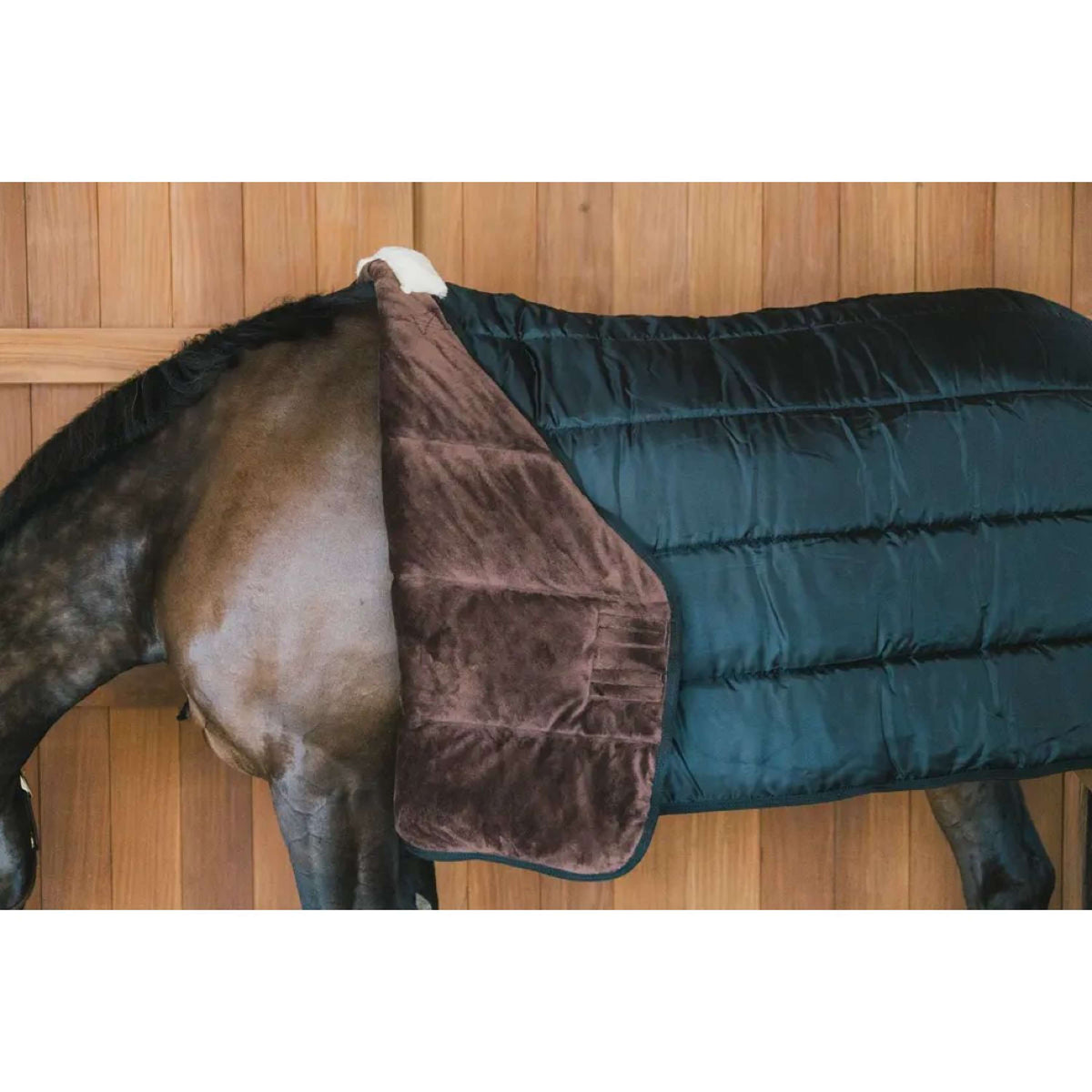 Kentucky Turnout Rug Comfort Liner Pro 200g Navy