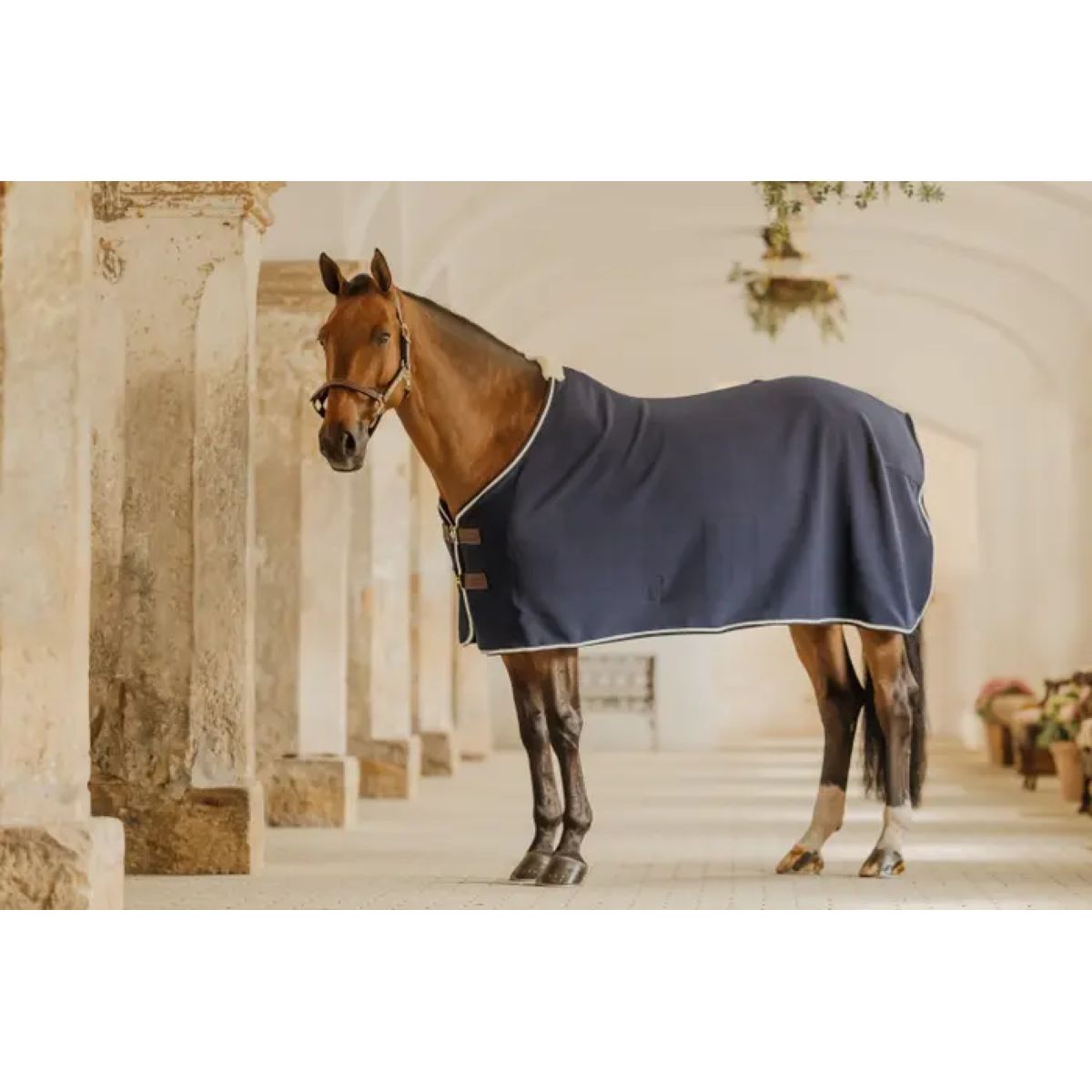 Kentucky Horsewear Fleecedecke Show Vegan Wool Navy