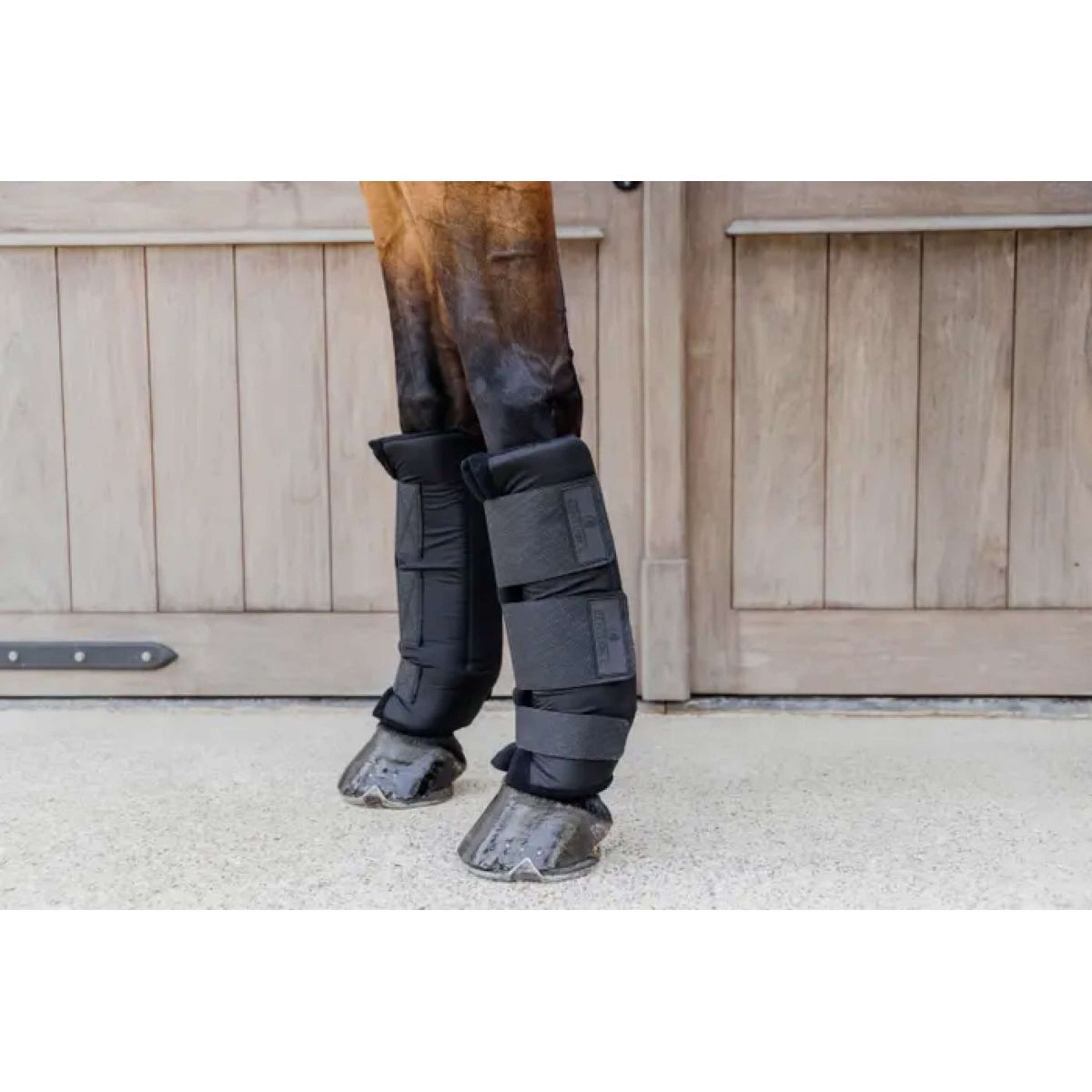 Kentucky Stallgamaschen PROtect Classic Für Schwarz Kentucky Stallgamaschen PROtect Classic Für Schwarz