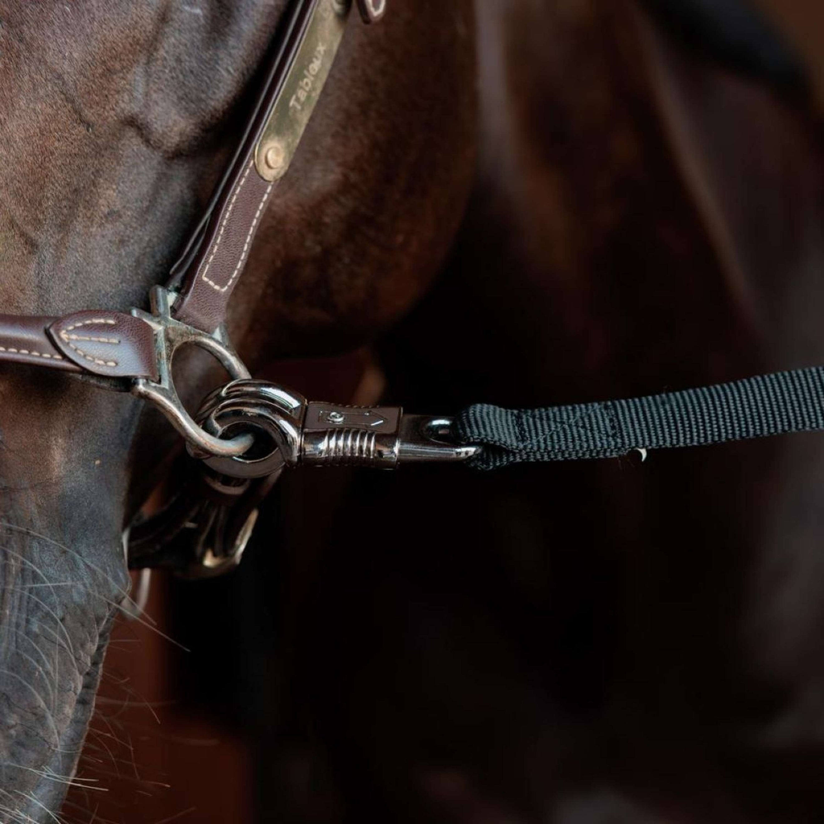 Kentucky Anbindestrick Safety Schwarz Kentucky Anbindestrick Safety Schwarz