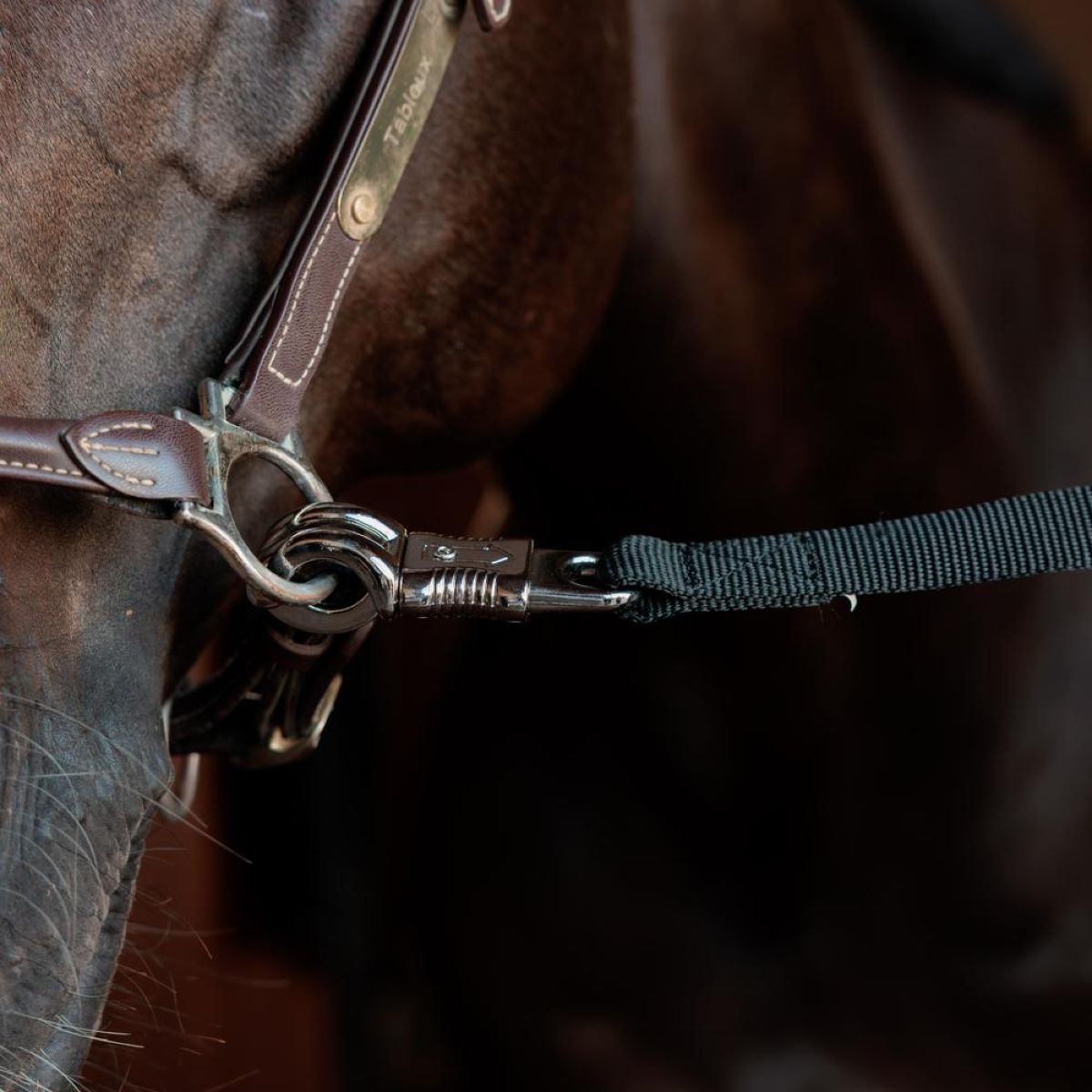 Kentucky Anbindestrick Safety Schwarz