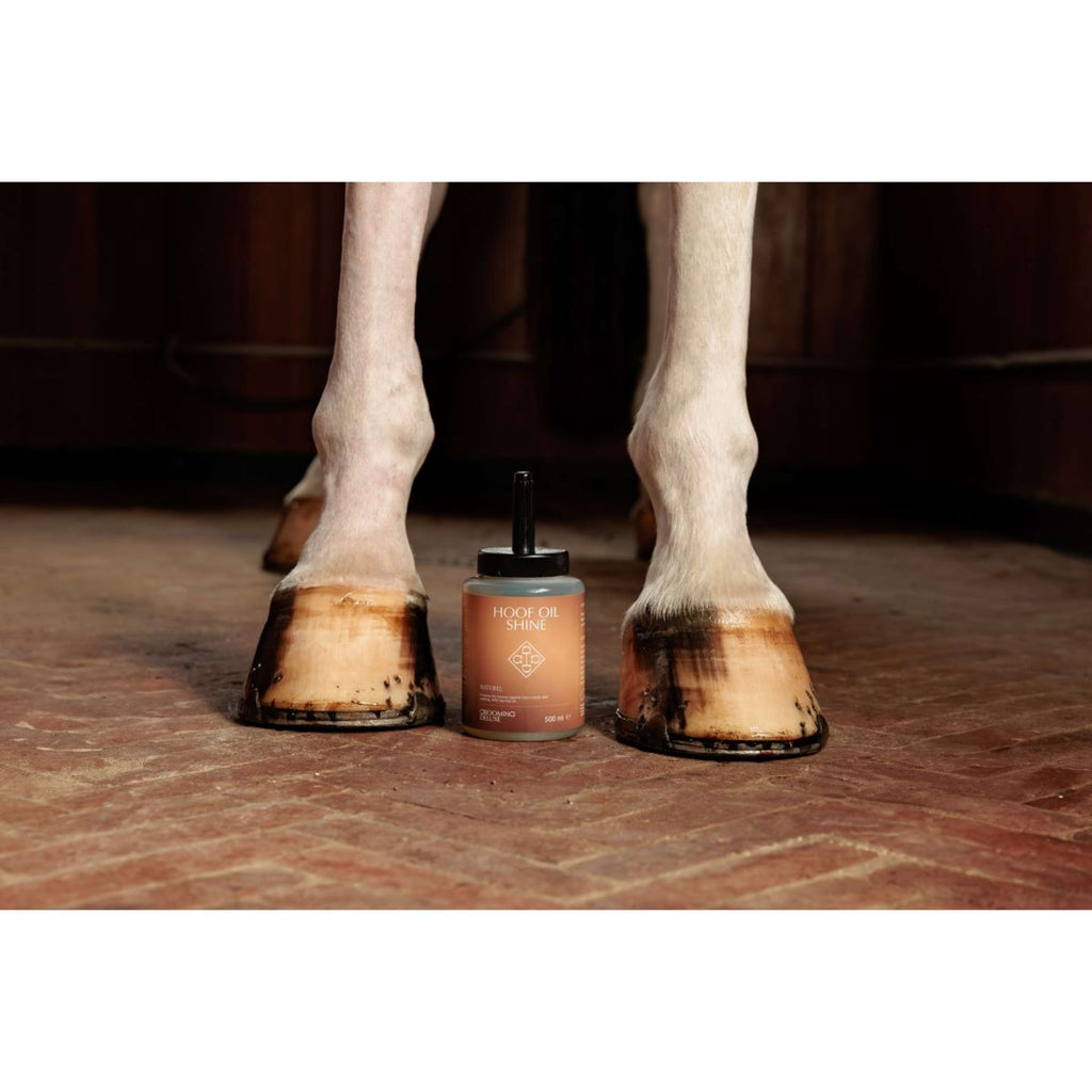 Grooming Deluxe by Kentucky Huföl Shine Naturel
