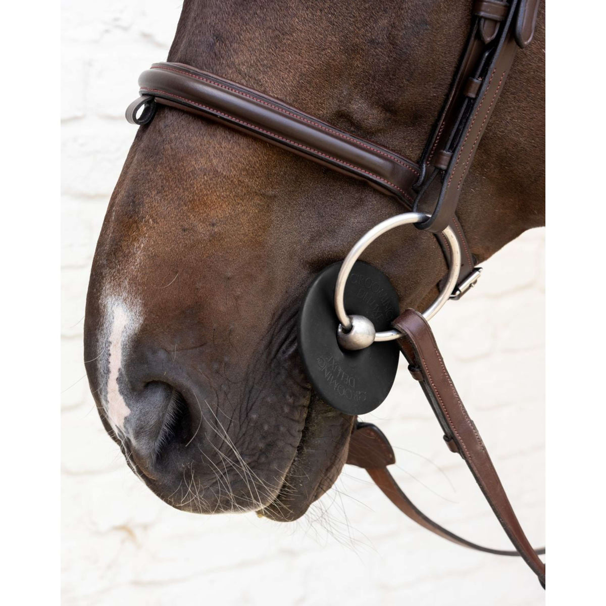 Kentucky Gebissringe Bit Ring Schwarz