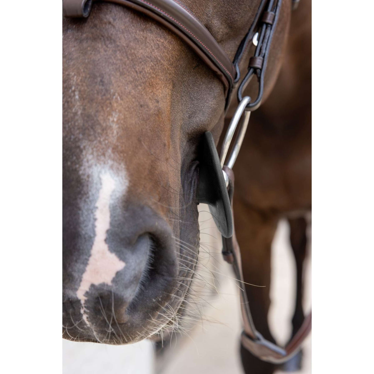 Kentucky Gebissringe Bit Ring Schwarz